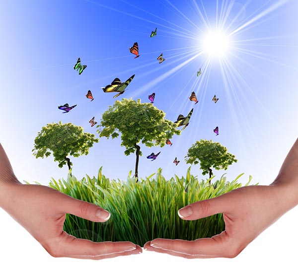 工業污泥烘干機環保收益 工業污泥烘干機環保收益